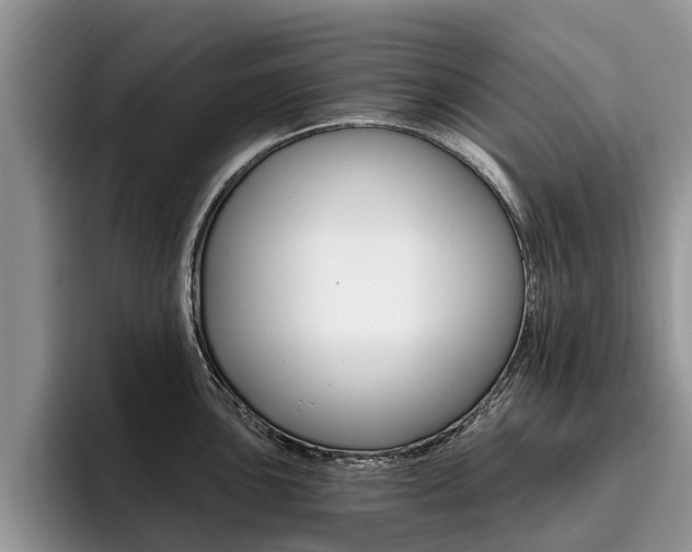 X0000096181051200801180846