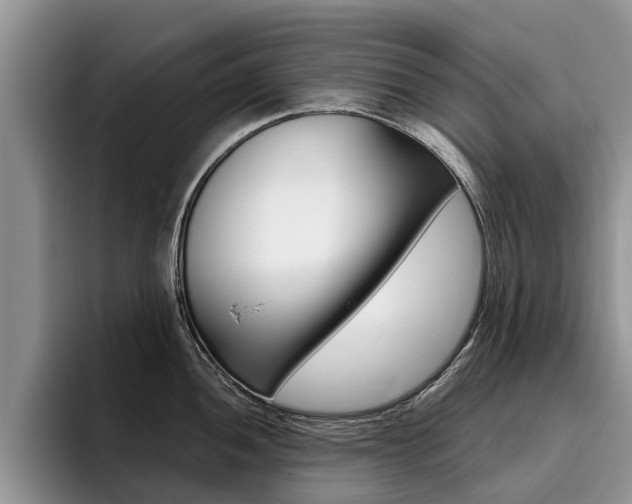 X0000096181052200801180846