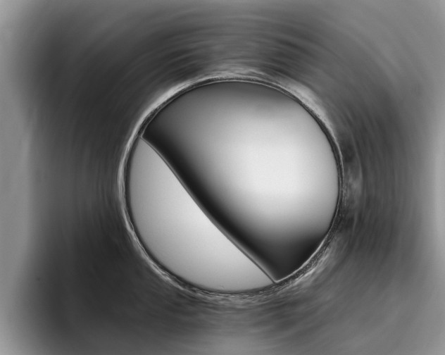 X0000096181053200801180846