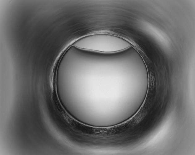 X0000096181054200801180846