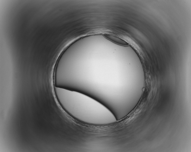 X0000096181055200801180846