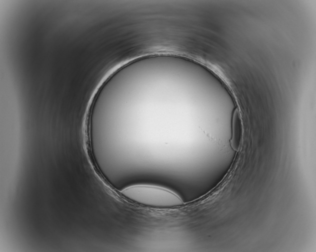 X0000096181056200801180846