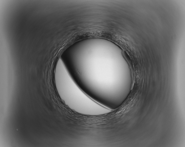 X0000096181057200801180846