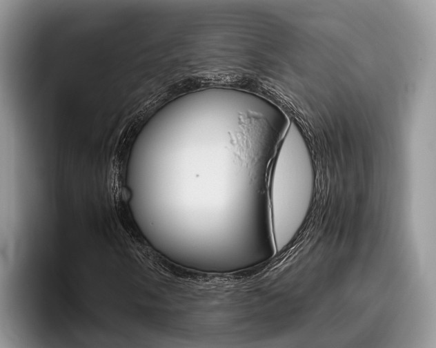 X0000096181058200801180846