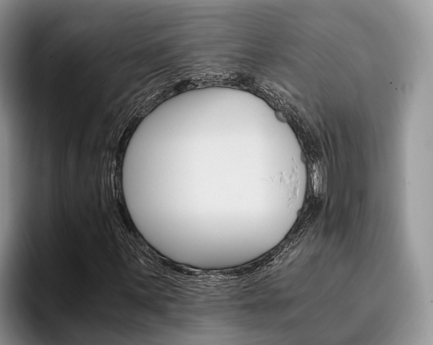 X0000096181059200801180846