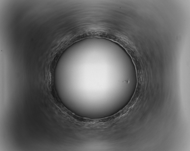 X0000096181061200801180845