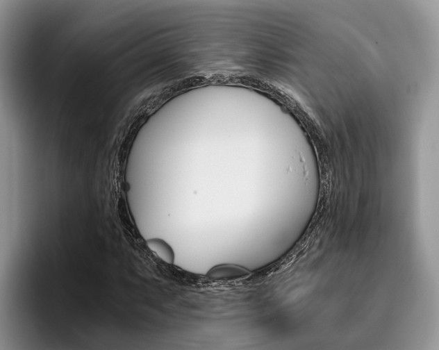 X0000096181063200801180845