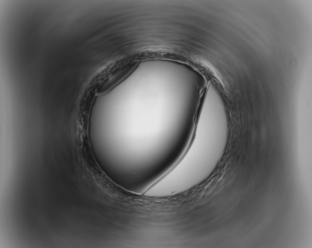 X0000096181064200801180845