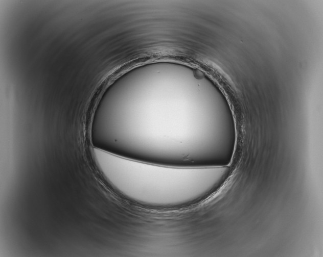 X0000096181065200801180845