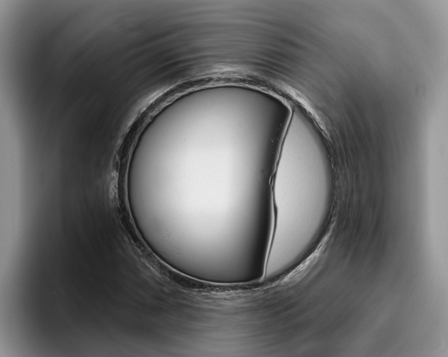 X0000096181066200801180845