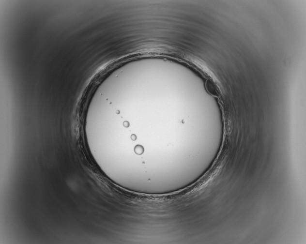 X0000096181067200801180845