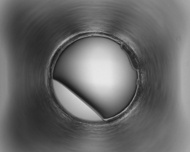 X0000096181069200801180845