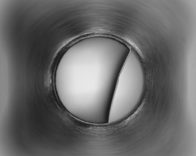 X0000096181070200801180845