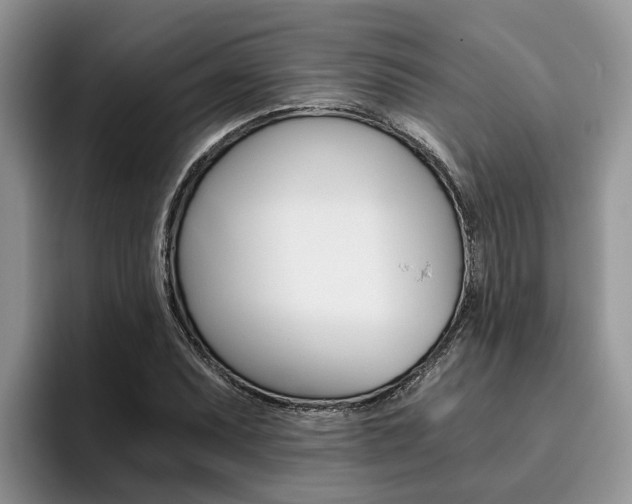 X0000096181071200801180845