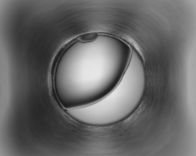 X0000096181072200801180845