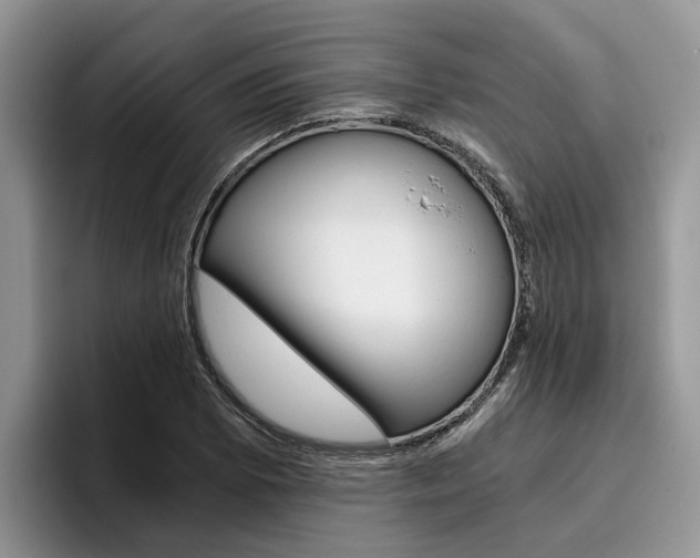 X0000096181073200801180845