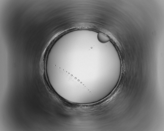 X0000096181075200801180845
