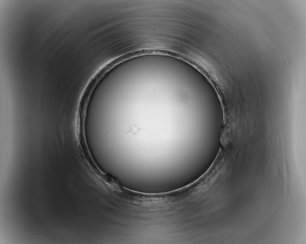 X0000096181076200801180845