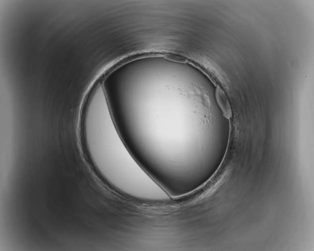 X0000096181077200801180845