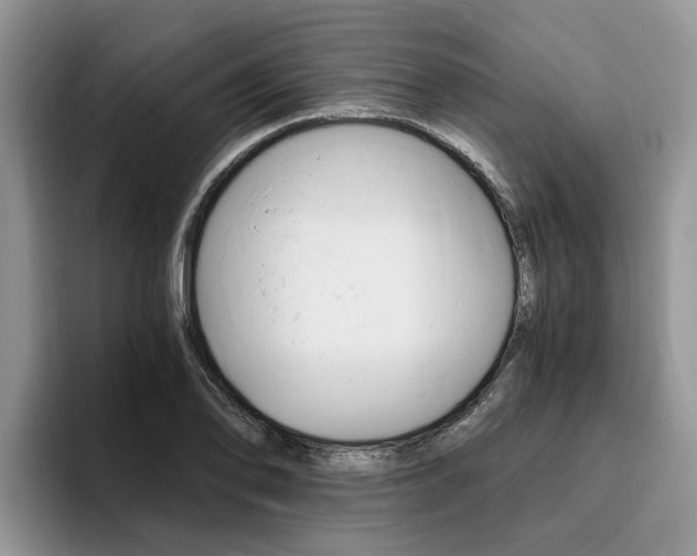 X0000096181078200801180845