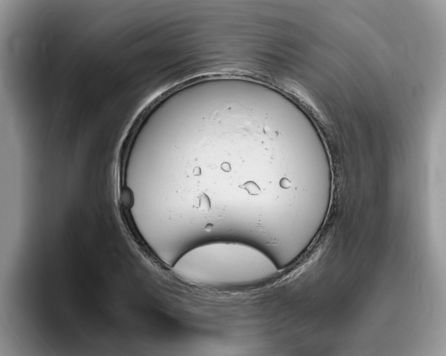 X0000096181079200801180845