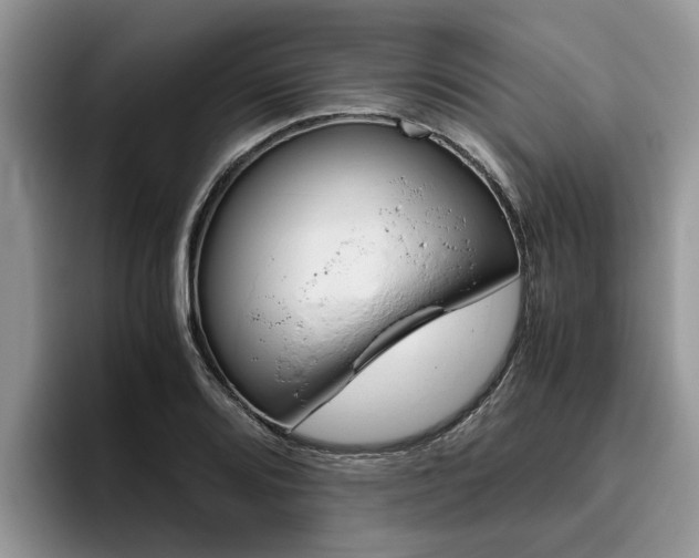 X0000096181080200801180845