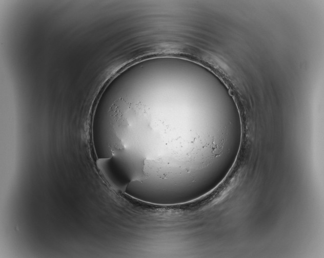 X0000096181081200801180845