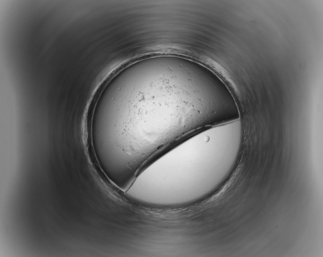 X0000096181082200801180845