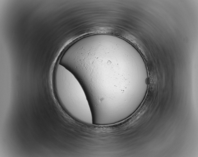 X0000096181083200801180845