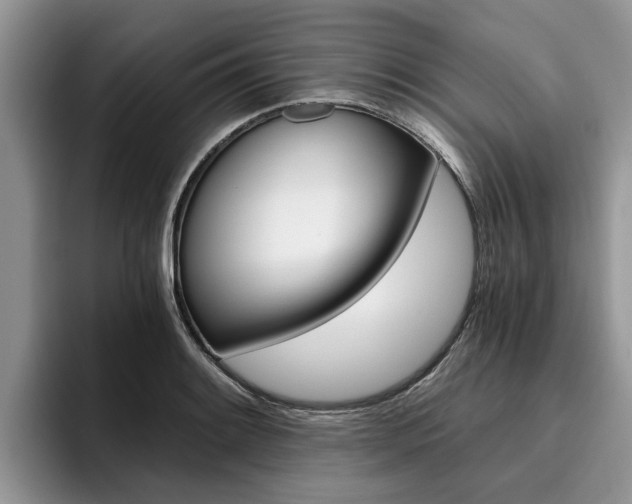 X0000096181084200801180845
