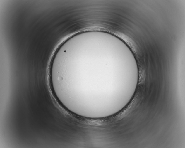 X0000096181086200801180845