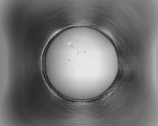 X0000096181087200801180845