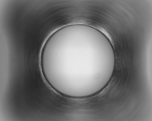 X0000096181088200801180845