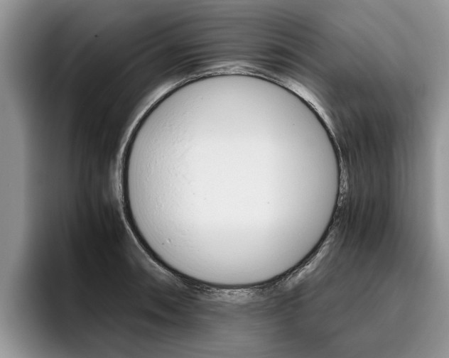 X0000096181090200801180845
