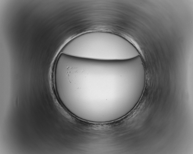 X0000096181091200801180845