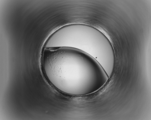 X0000096181093200801180845