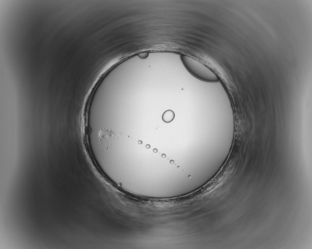 X0000096181095200801180845