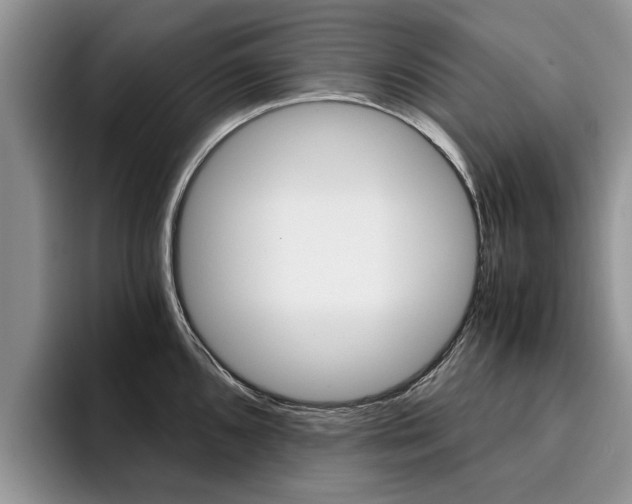 X0000096181096200801180845