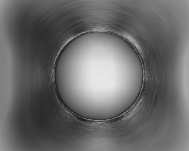 X0000096181097200801180845