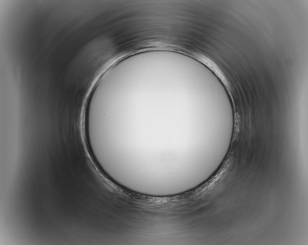 X0000096181098200801180845