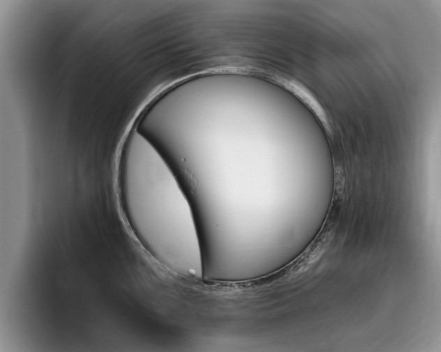 X0000096181099200801180845