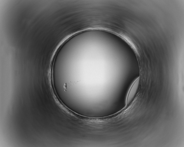 X0000096181100200801180845