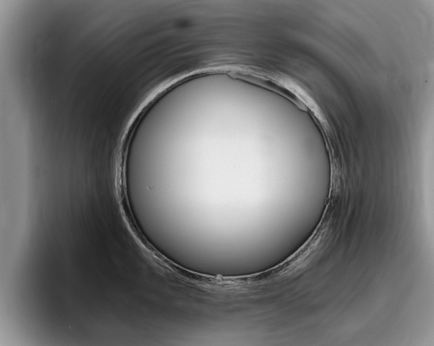 X0000096181101200801180845