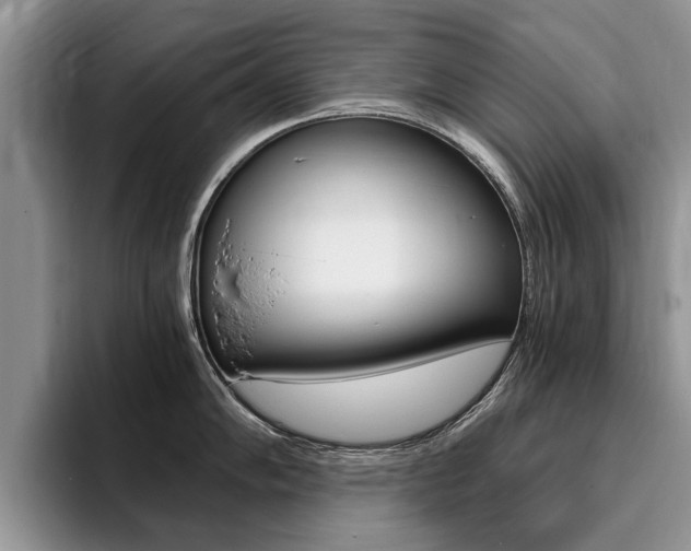 X0000096181102200801180845