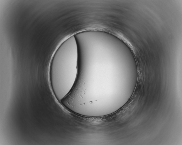 X0000096181103200801180845