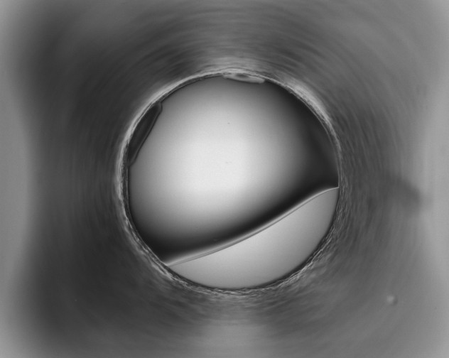 X0000096181104200801180845