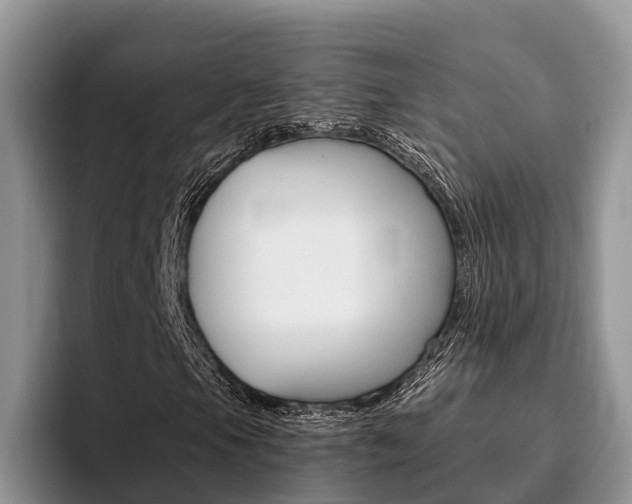 X0000096181105200801180844