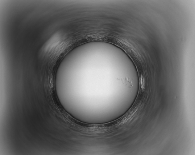 X0000096181107200801180844