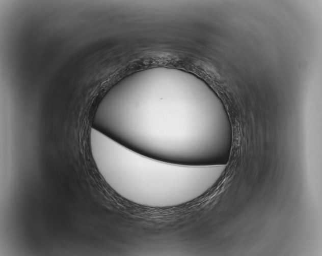 X0000096181109200801180844