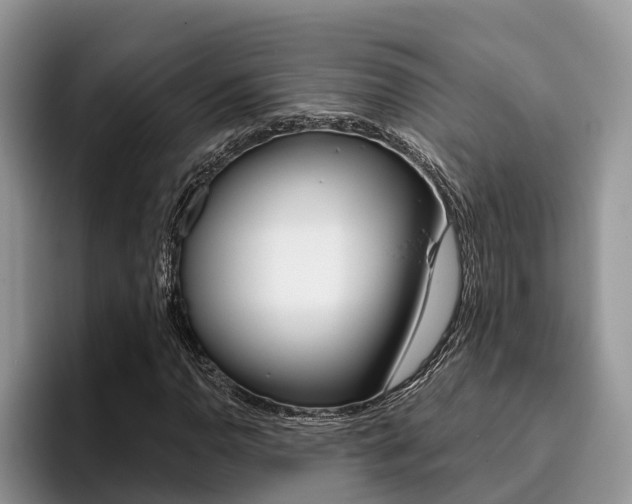 X0000096181110200801180844